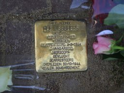 StolperStein